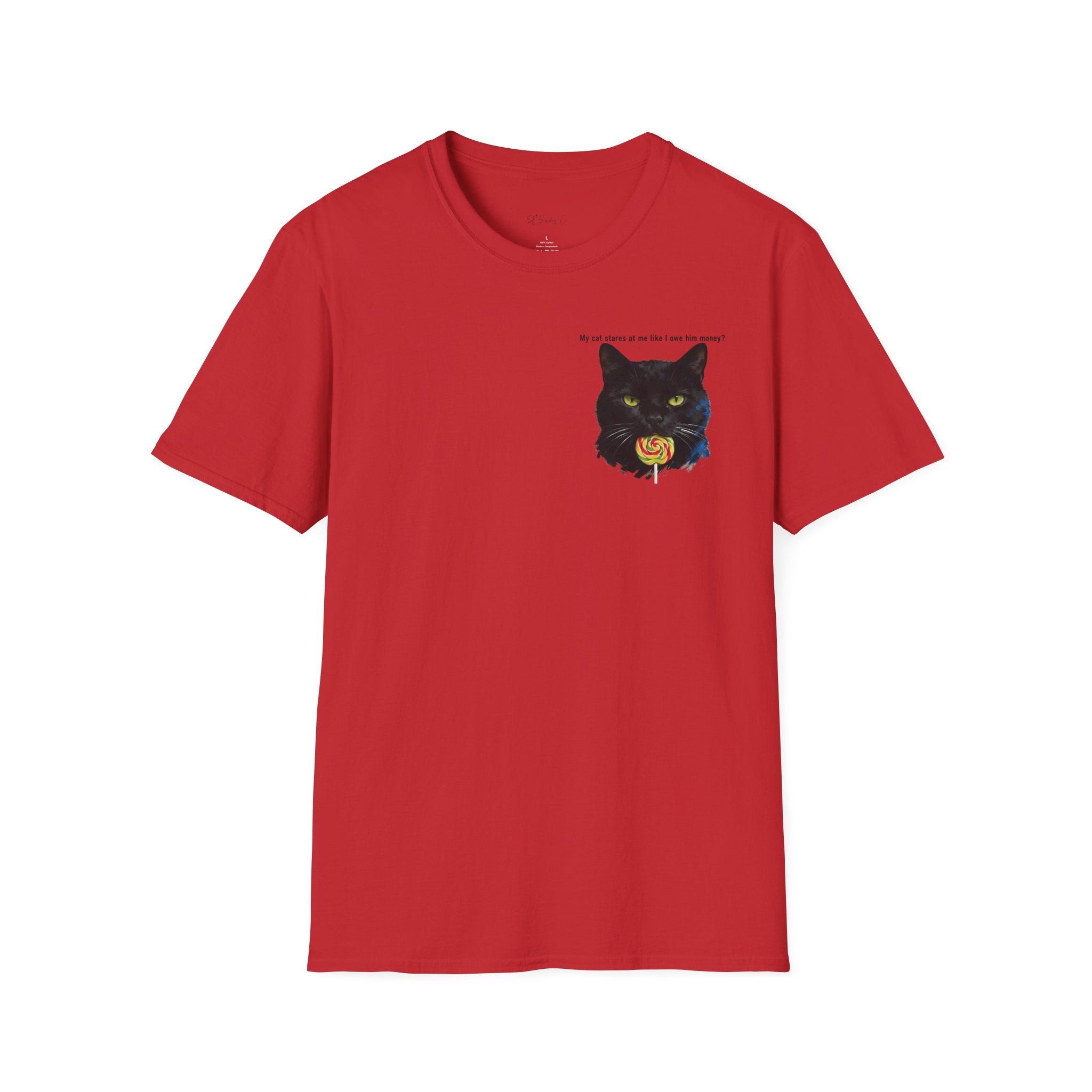 My Cat Stares At Me Like I Owe Him Money T-Shirt